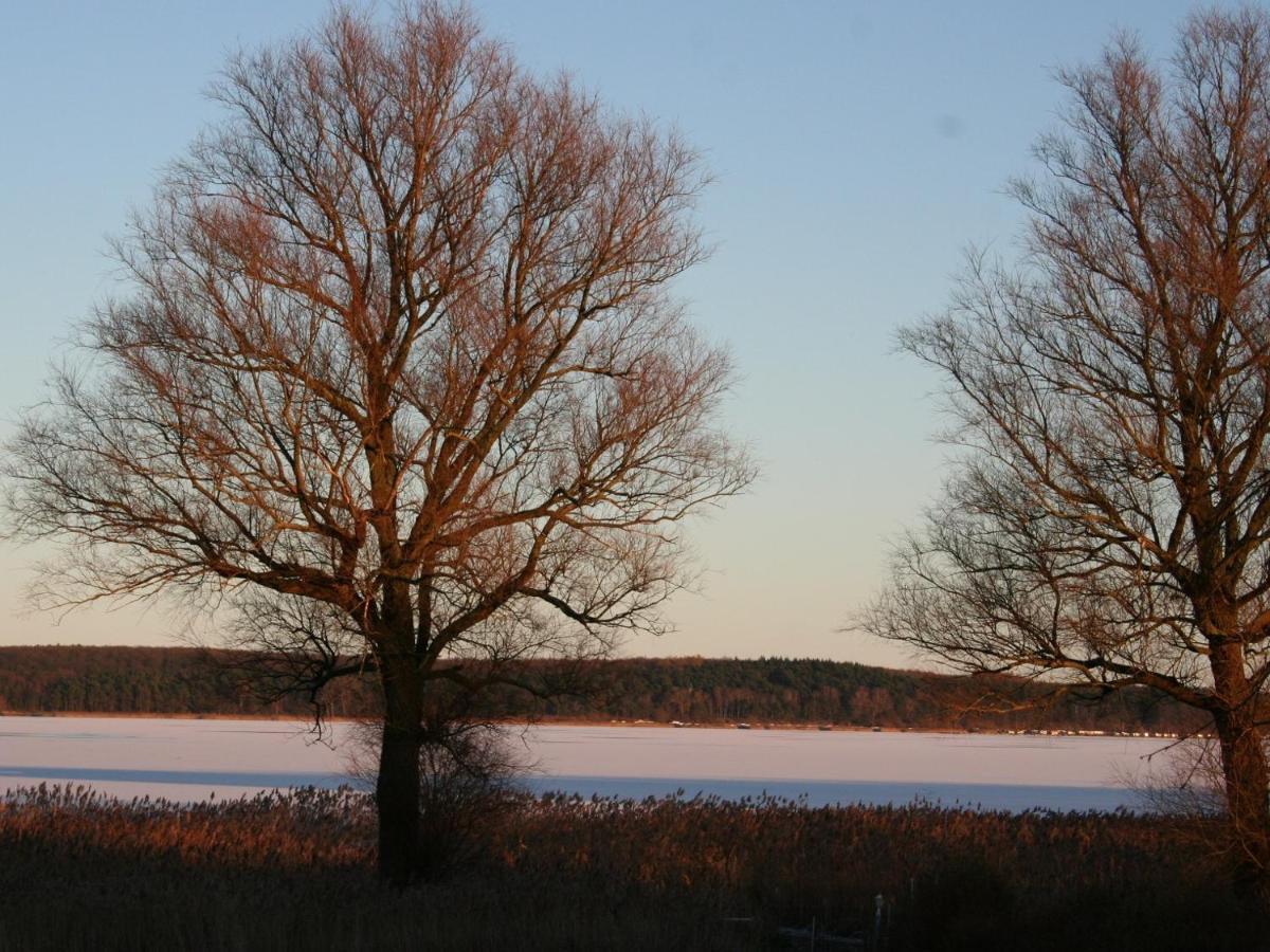 Ilonas Seeblick Leilighet Plau am See Eksteriør bilde